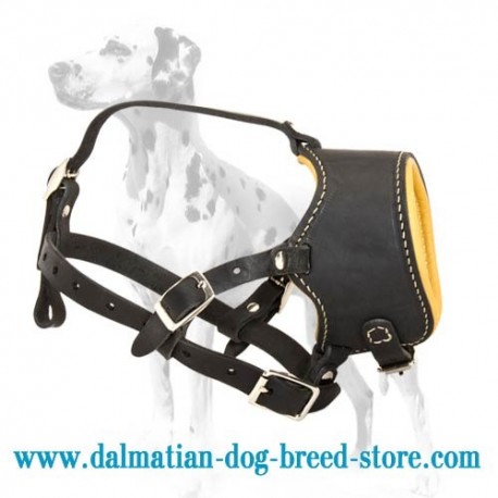 Train & walk your pet safely with our Dalmatian leather dog muzzle