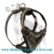 Premium Hand-painted Leather Dog Harness for Dalmatian