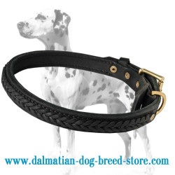 Original Braided Leather Dalmatian Dog Collar