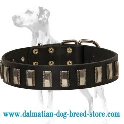Wonderful Leather Dog Collar with Small Pretty Plates for Dalmatian