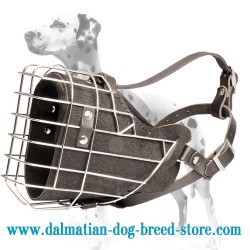 Dalmatian heavy duty wire cage padded muzzle for various kinds of training