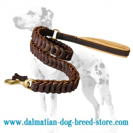 Stunning Look Dalmatian Dog Leash