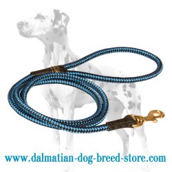 Cord-Shaped Dalmatian Dog Leash