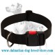 Affordable high quality nylon dog collar with quick release buckle for Dalmatian breed