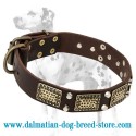 Extra Class Quality Dalmatian Leather Dog Collar