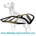 Easy and Comfy Pulling Nylon Dog Harness for Dalmatian breed