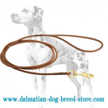 Ultra-Thin Dalmatian Dog Leash