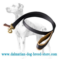 'No Rubbing' Dalmatian Dog Leash with Soft Handle