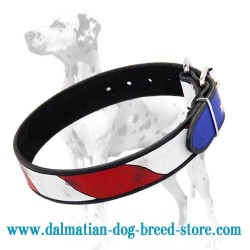 Gorgeous handpainted collar for Dalmatian