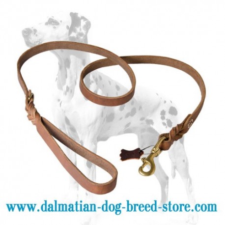 Amazing Design Dalmatian Dog Leash