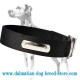 2 Ply Nylon Dalmatian Dog Collar with name tag