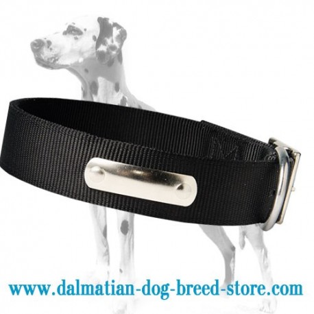 2 Ply Nylon Dalmatian Dog Collar with name tag