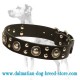 'Silver Knights' Dalmatian Dog Collar