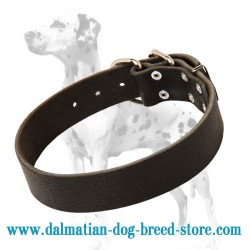 Decorations-free Leather Buckle Dog Collar for Dalmatian breed