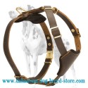 Pure Leather Dog Harness for Dalmatian puppy