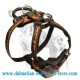 Beautifully Hand-painted Dog Harness for Dalmatian