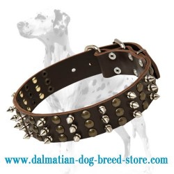 Quality General Purpose Dog Collar Designed to Fit Dalmatian breed