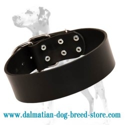 Leather Dog Collar for Dalmatian designed according to classic style