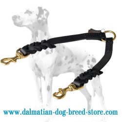 Braided Design Dalmatian Dog Coupler