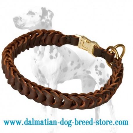 'French Braid' Dalmatian Dog Choke Collar