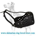 Excellent Training  Leather Muzzle for Dalmatian