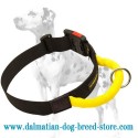 Multipurpose off-leash nylon collar for Dalmatian