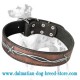 Hand painted by the best artists leather dog collar with Barbed Wire for Dalmatian breed