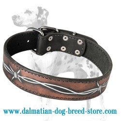 Hand painted by the best artists leather dog collar with Barbed Wire for Dalmatian breed