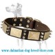 Splendid Design War Dog Leather Dalmatian Collar with Old-look Brass Plates and Nickel Spikes