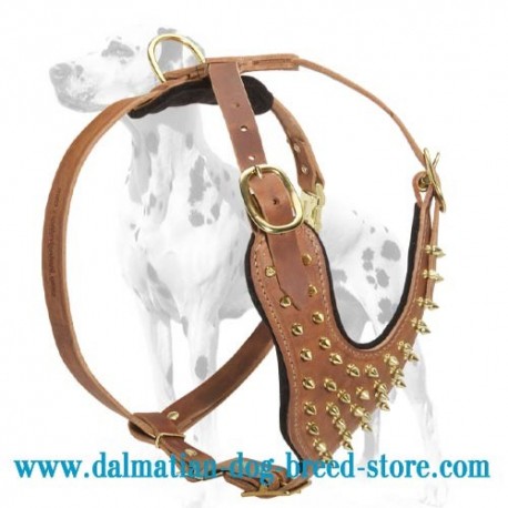 Top Notch Design of Spiked Leather Dog Harness for Dalmatian Breed