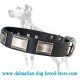 Amazing Leather Dalmatian Dog Collar with Nickel Plates