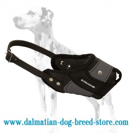 Dalmatian New Agitation Training Dog Muzzle