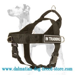 Nylon Dalmatian Harness for Training, Tracking and Walking
