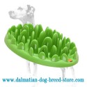 Dalmatian "Green Grassy Dish" Pet Feeder for Small Dogs