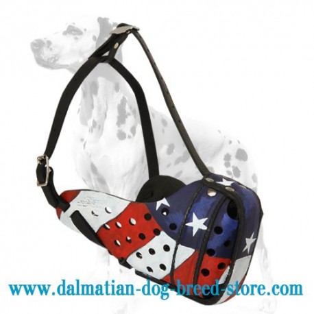 Dalmatian Painted Muzzle for Dog Training
