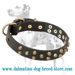 Dalmatian Dog Collar with Brass Pyramids "Galaxy Trip"
