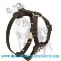 Studded Dalmatian Puppy Dog Harness