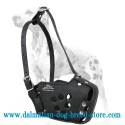 Strong Training Dalmatian Dog Muzzle with Holes on the Surface