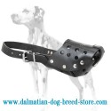 Top-Grade Dalmatian Dog Muzzle