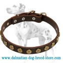 Fabulous Dalmatian Leather Dog Collar with Doted Circles