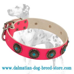 'Eccentric Pink' Dalmatian Dog Collar