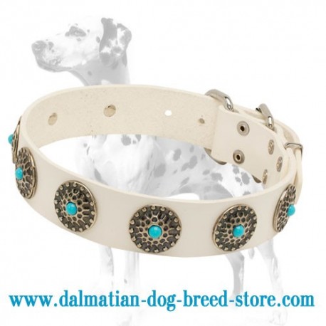 'Fancy Outfit' Dalmatian Leather Dog Collar