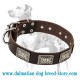 'Rococo Style' Dalmatian Leather Dog Collar