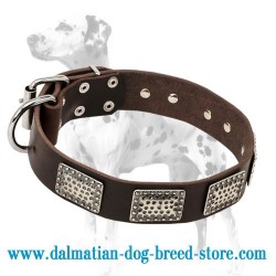 'Rococo Style' Dalmatian Leather Dog Collar