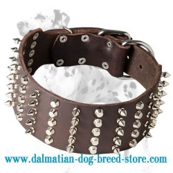 'Heracles' Dalmatian Leather Dog Collar