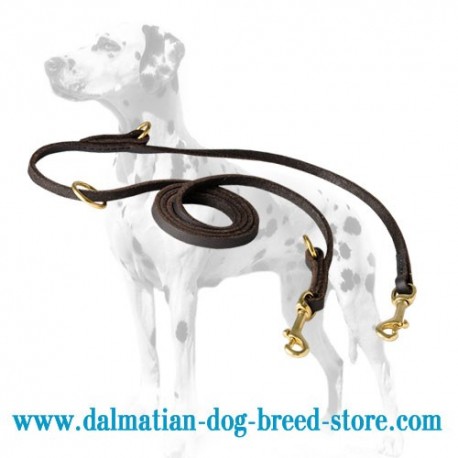 Multimode English Leather Dalmatian Dog Leash