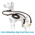 Multimode English Leather Dalmatian Dog Leash