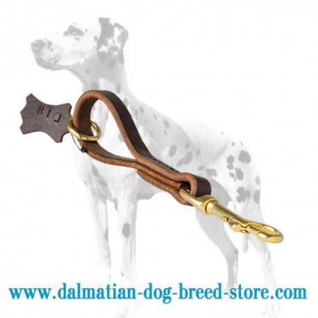 'Pull Grab Tab' Dalmatian Dog Leash