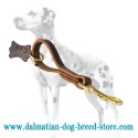 'Pull Grab Tab' Dalmatian Dog Leash