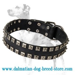 'Caterpillar' Dalmatian Dog Collar with Dotted Pyramids
